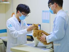 -虹泰宠物医院 ·旗舰店·24h(南秀路店)