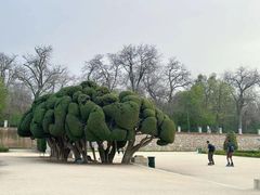 -丽池公园