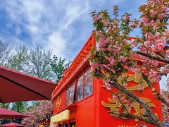 -大慈恩寺(大雁塔)