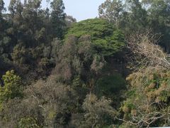 -广州雕塑公园