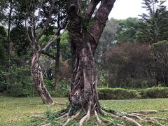 -云溪植物园