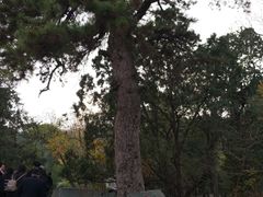 -香山公园-东宫门售票处