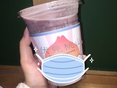 -伏小桃(明瓦廊店)