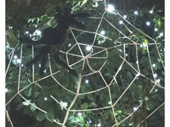 -济南方特东方神画