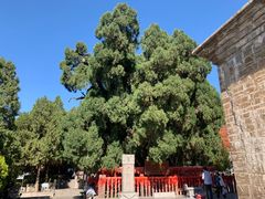 -四门塔风景区