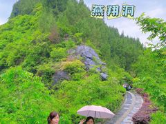 -后柳水乡