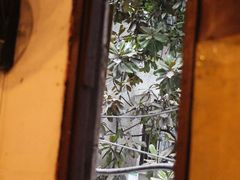 -苟味道老火锅(黄桷坪店)