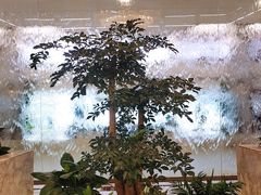 -京基晶都酒店