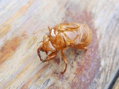 -百里峡七彩艺术小镇