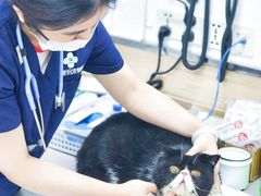 -爱侣宠医·鹦鹉专科·小型哺乳类·异宠专科(灵石路店)