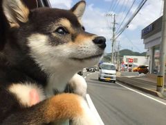 -延年酒店-延飨餐厅(延年文苑店)