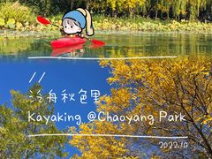 -WhaleSports户外水上运动俱乐部(朝阳公园店)
