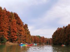 -上海海湾国家森林公园