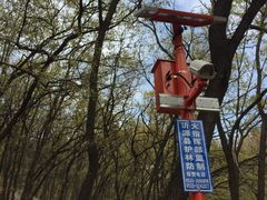 -鲁山国家森林公园