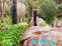 -佛冈森波拉度假区