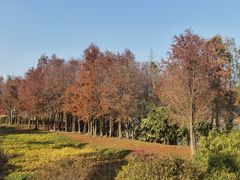 -厦门园林博览苑