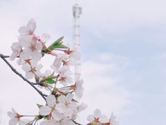 -上海辰山植物园