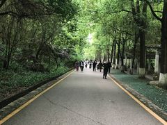 -黔灵山公园