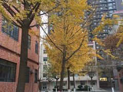 -西北大学(桃园校区)