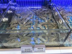 -大众海鲜(巨龙北路店)