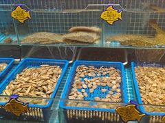 -北李妈妈菜·海肠捞饭(高新万达店)