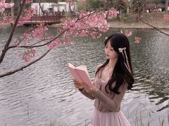 -新江湾城公园