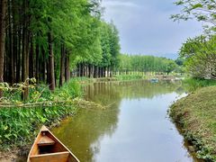 -佛冈森波拉度假区