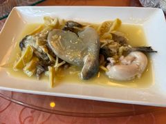 -孔庆璞河豚馆(白玉兰酒店)