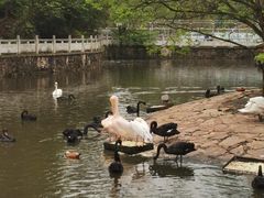 -黔灵山公园