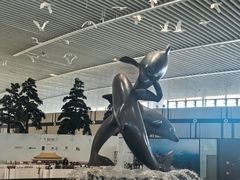 -青岛胶东国际机场