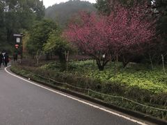 -山湖温泉