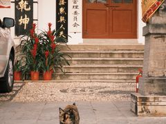 -长春观