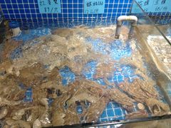-小时候焗海鲜(鄞州万达店)