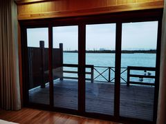 -池杉湖湿地公园