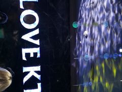 -INLOVE KTV(新天地店)