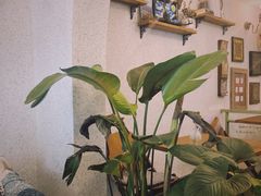 -绿房子方寸咖啡(星海名城店)