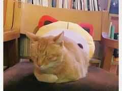 -默迹咖啡馆