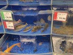 -AEON永旺(东方宝泰店)