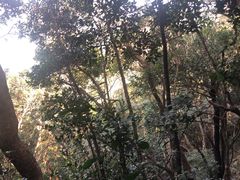 -七娘山