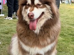 -上海神旺大酒店