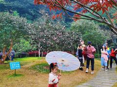 -广州市帽峰山景区