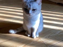 -萌喵咖啡屋(人民东路4号口M16商铺店)