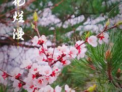 -八达岭长城