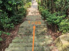-南山植物园