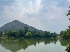 -桃花岛景观公园