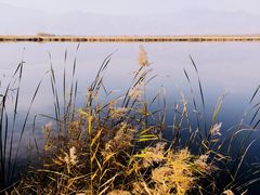 -野鸭湖国家湿地公园