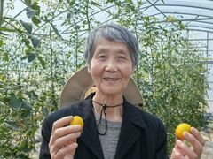 -菊园百果园