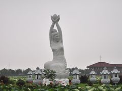 -荷塘月色湿地公园·向阳花洲