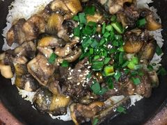 -红星光发煲仔饭(大石街店)