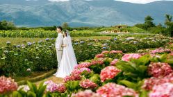 -太古映画婚纱摄影(天河店)